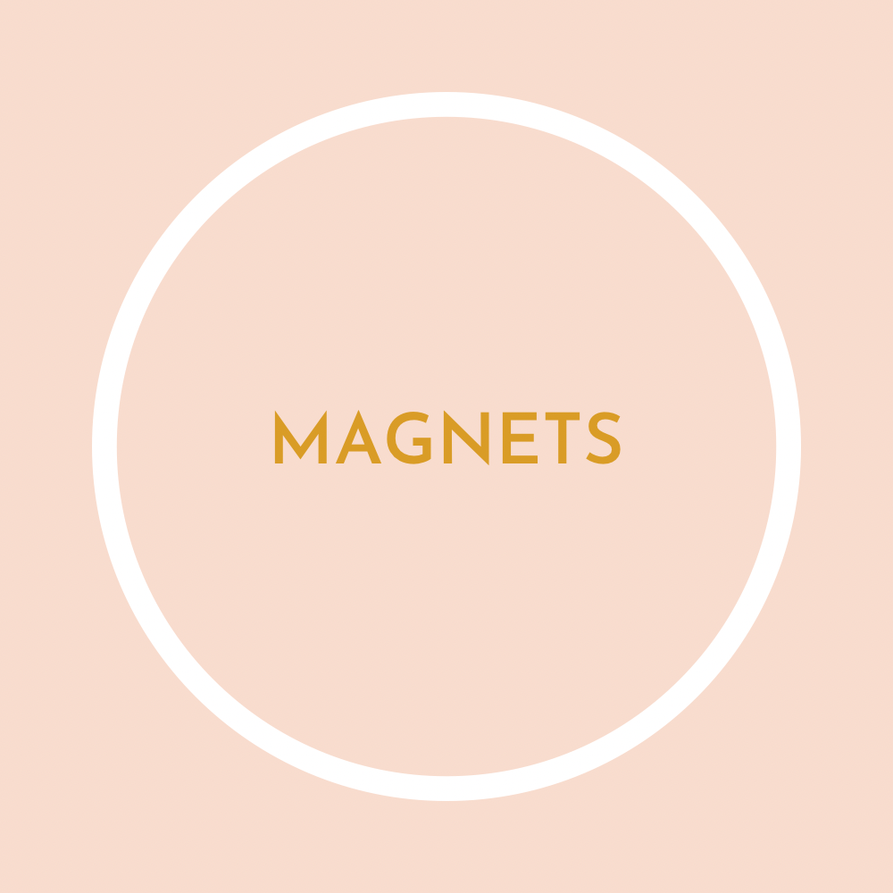 Magnets + Ornaments